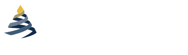 LightHIT Executive Coaching